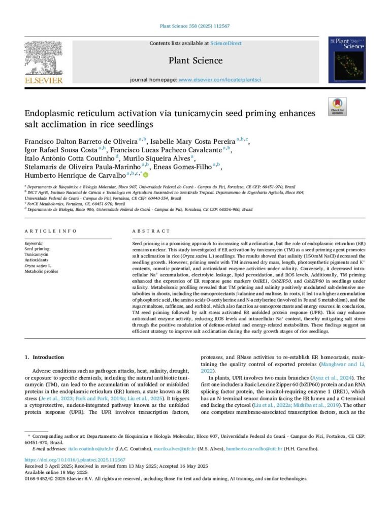 thumbnail of Endoplasmic reticulum activation via tunicamycin seed priming enhances