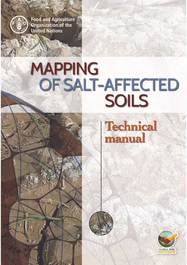 thumbnail of Mapping of salt-affected soils – Technical manual